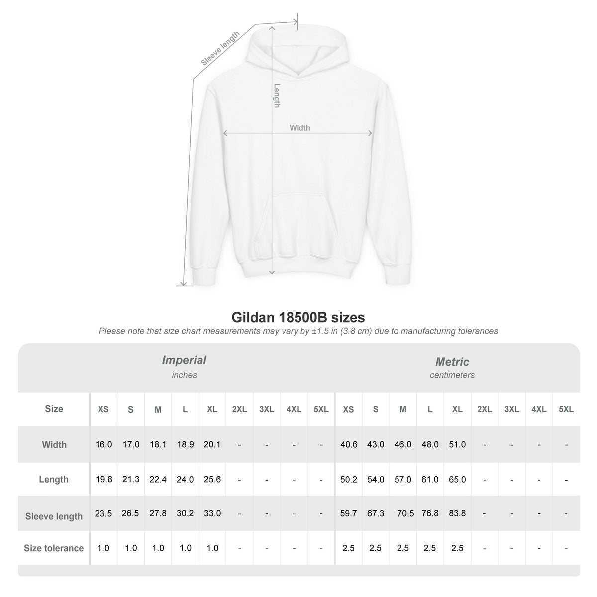 MSREG Youth Hoodie